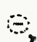 primaphoto5