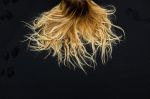 Thick blonde hair contrasted against the black&nbsp;sand